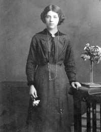 Aurelia 1911